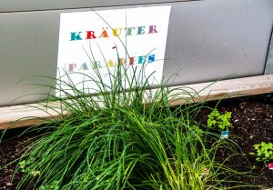 Willkommen im Kräutergarten